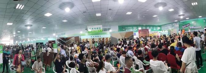 兔寶寶環保行7月29日蘇州站 綠色裝飾，感恩回饋