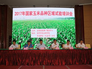 技術推廣服務中心——加速技術轉化與產業(yè)升級的橋梁